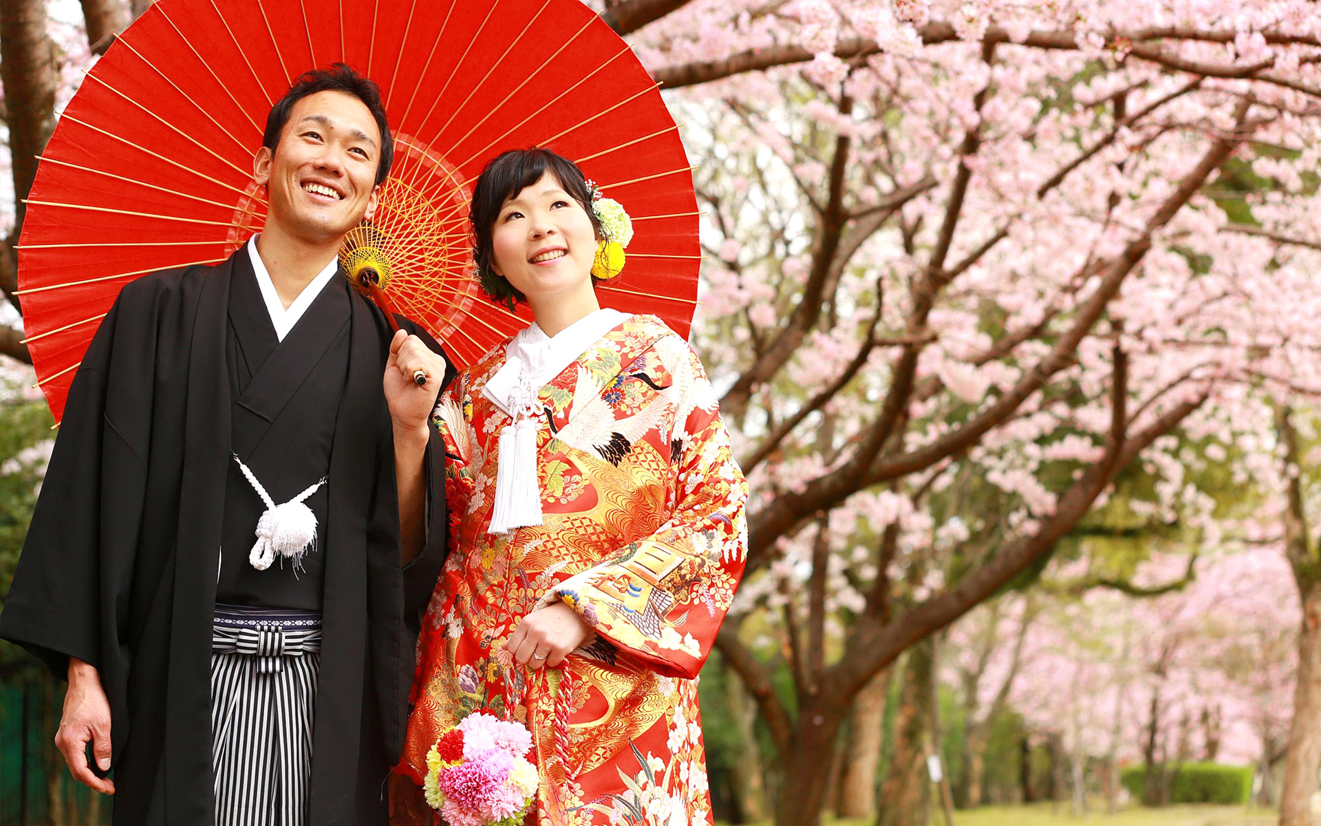 桜ロケーション撮影プラン