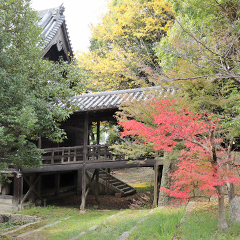 神戸　太山寺のロケ撮影