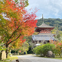 神戸　太山寺のロケ撮影