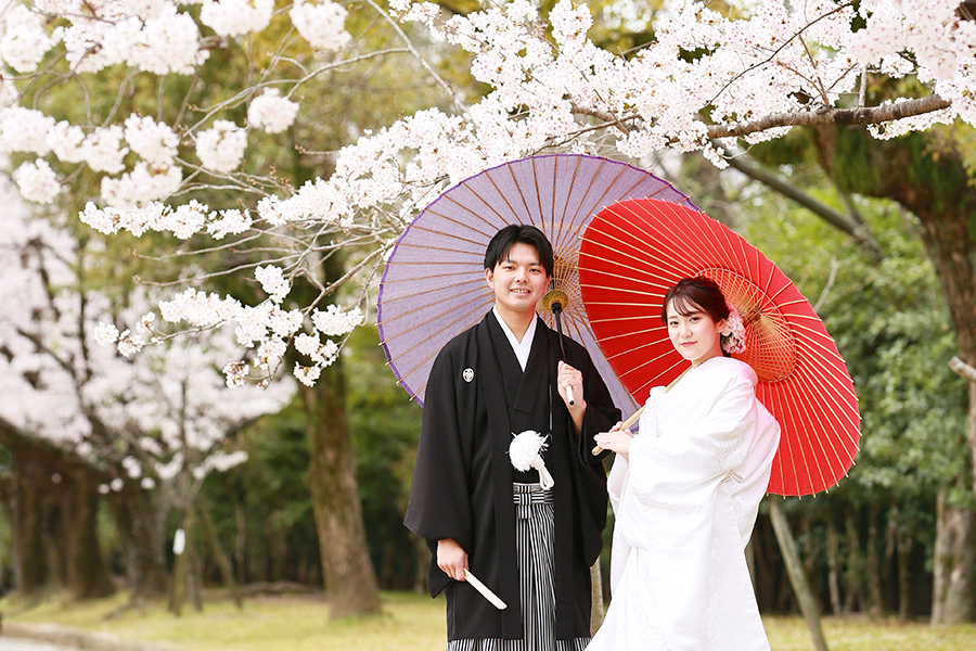 春のロケーション撮影写真03