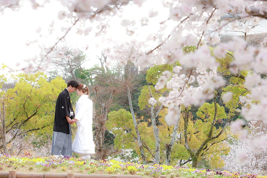 ウェディングフォト春の公園桜ロケ写真04