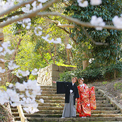 結婚写真：明石公園のブライダルロケ撮影