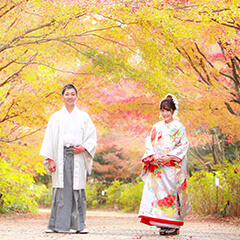 結婚写真：神戸森林植物園のブライダルロケ撮影