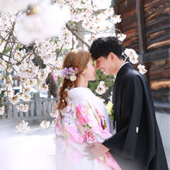 結婚写真：御厨神社のブライダル桜ロケ撮影